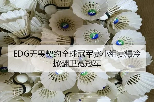 EDG无畏契约全球冠军赛小组赛爆冷掀翻卫冕冠军